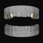2 x Canine & Premolar (upper) - Bitez Grillz