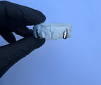 Canine - Canine - Bitez Grillz