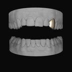 CANINE - Bitez Grillz