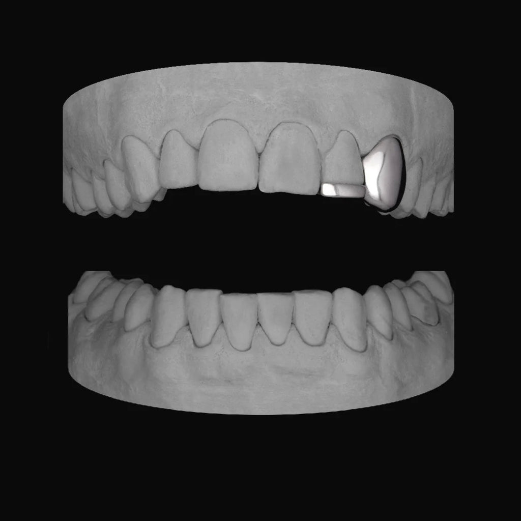 Canine & Bar - Bitez Grillz