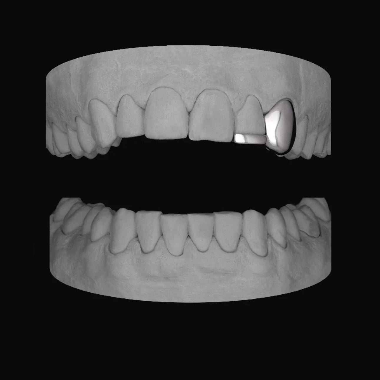 Canine & Bar - Bitez Grillz