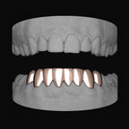 Bottom 8 Set - Bitez Grillz