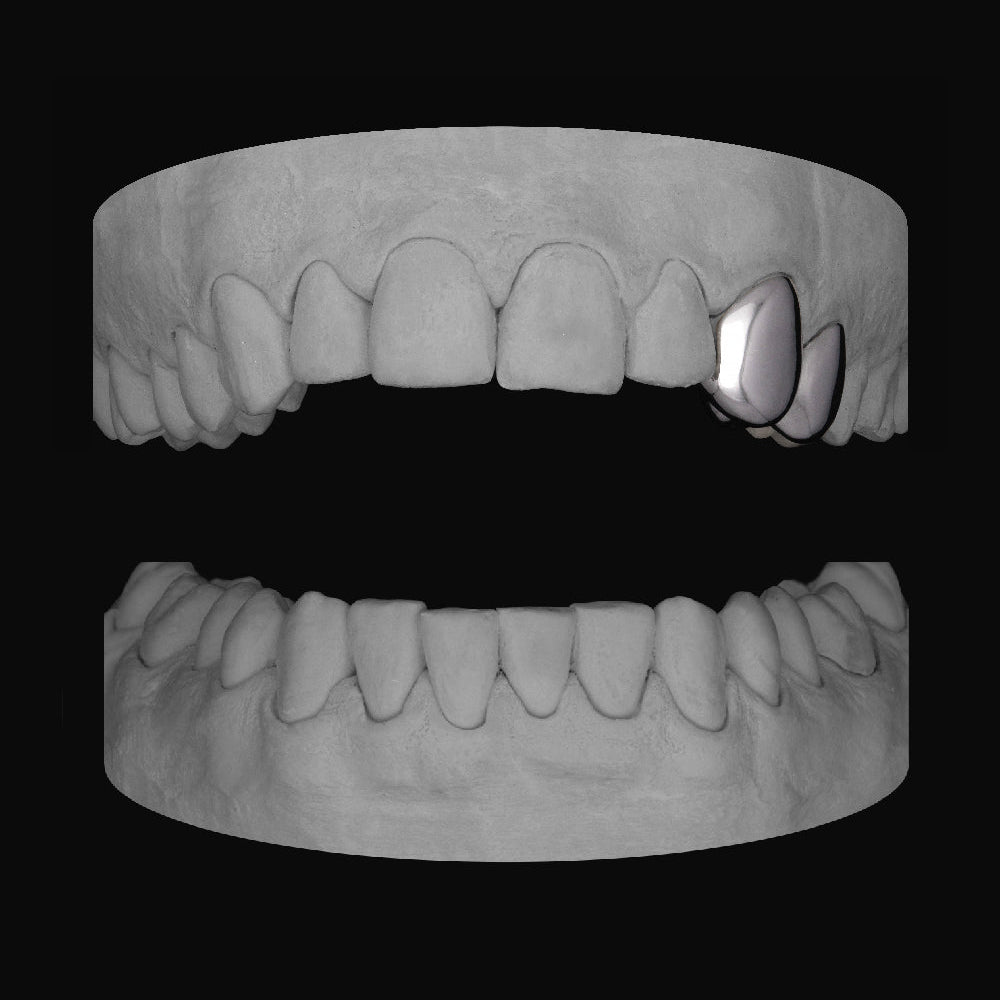 Canine & Premolar (Upper) - Bitez Grillz