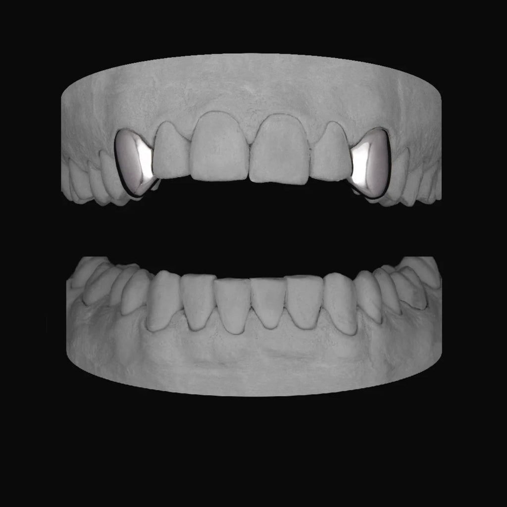 Canine - Canine - Bitez Grillz