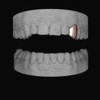 CANINE - Bitez Grillz