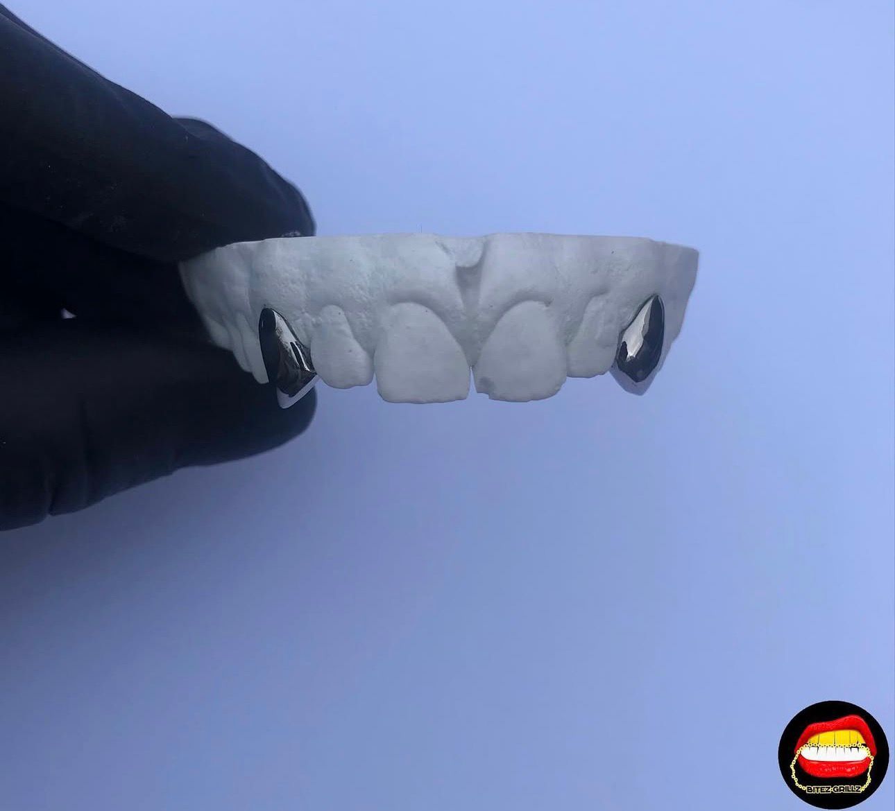 Canine - Canine - Bitez Grillz