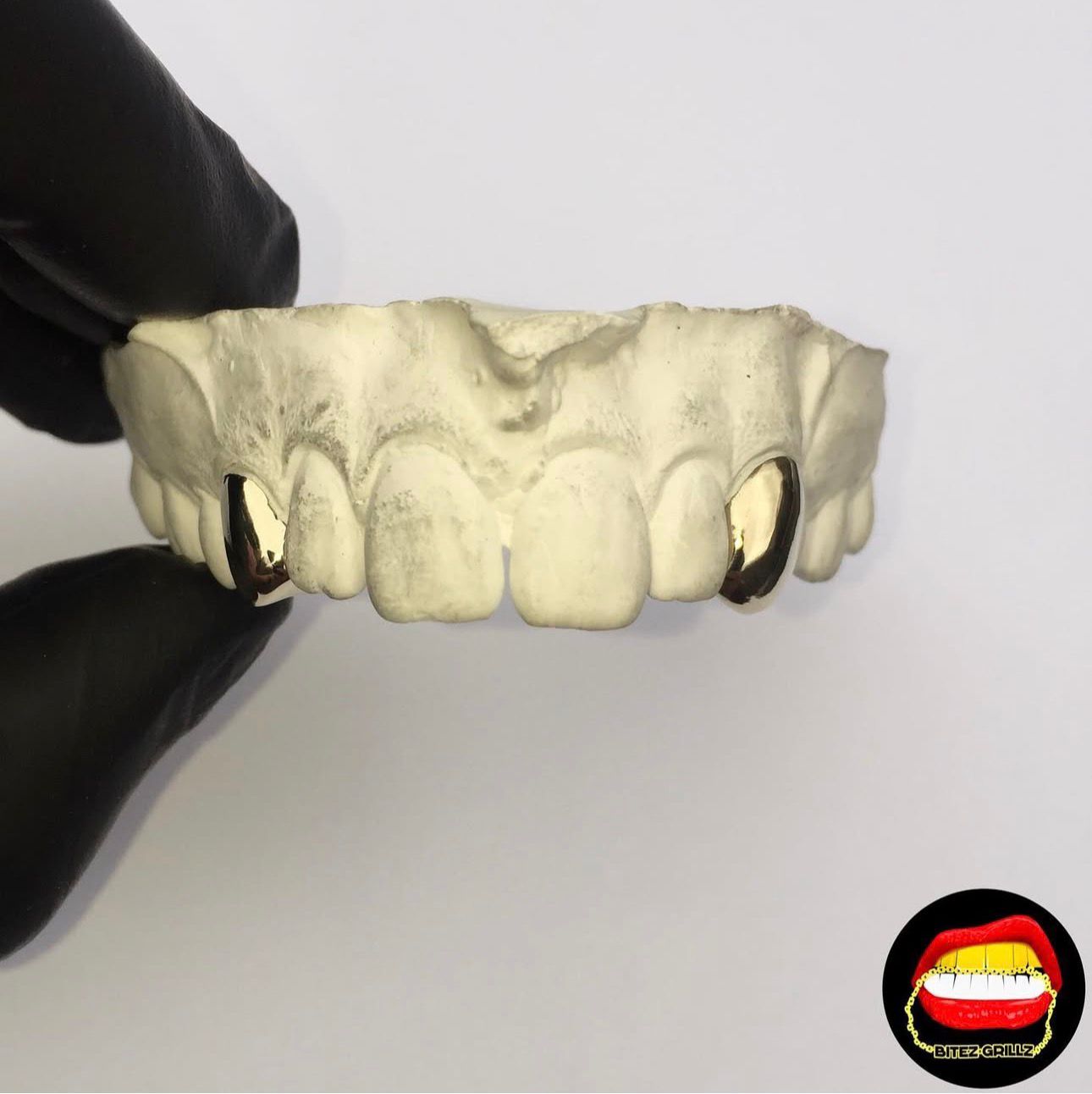 Canine - Canine - Bitez Grillz