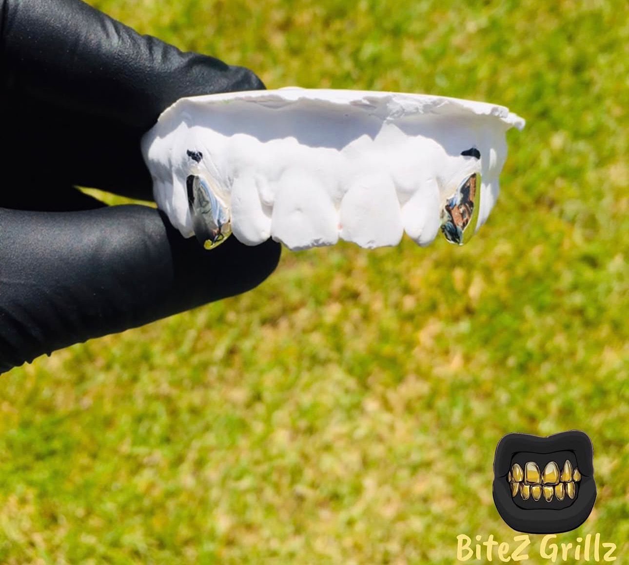 Canine - Canine - Bitez Grillz