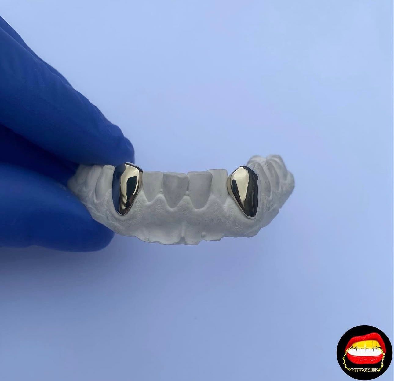 Canine - Canine (Lower) - Bitez Grillz