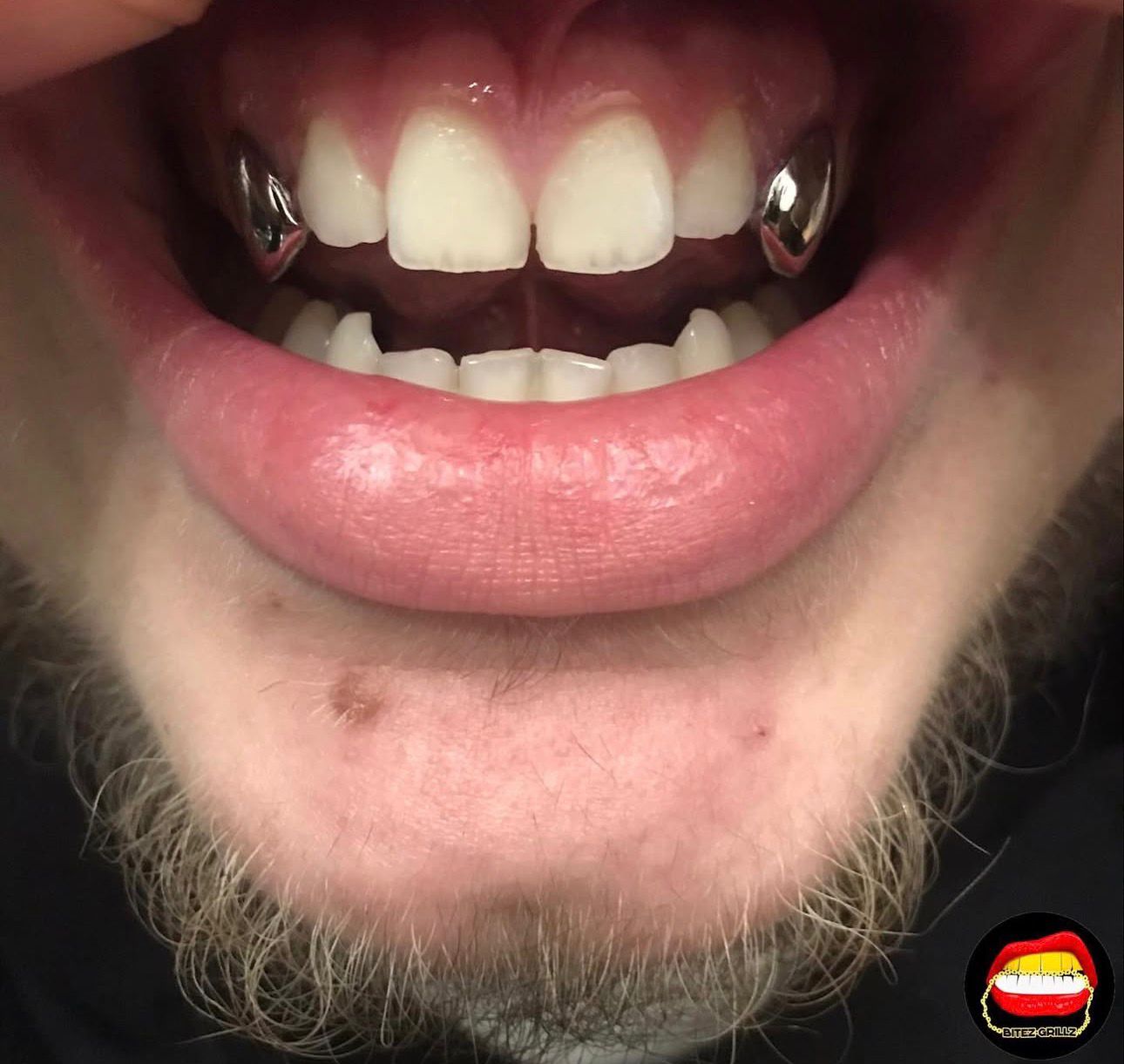 Canine - Canine - Bitez Grillz
