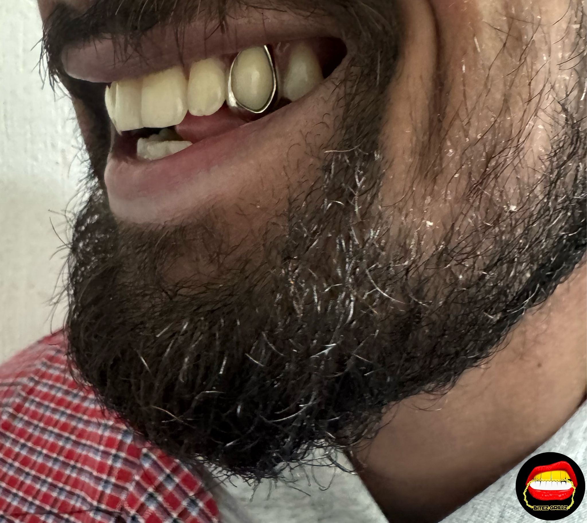 Window Canine - Bitez Grillz